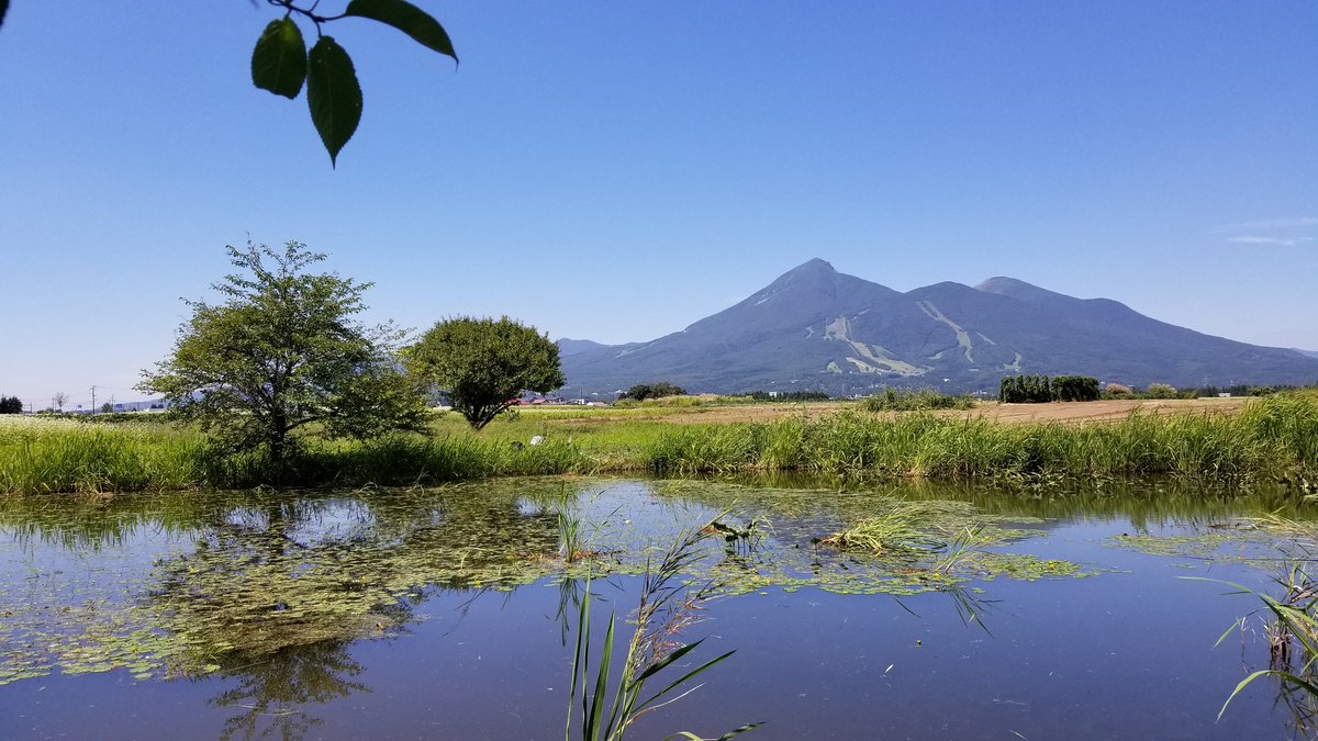 #世界湿地の日

数年前に東日本方面で撮った写真。
生き物も多く、絵に描いたような素晴らしい光景でした。