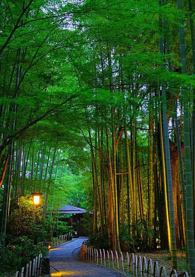 FireEvil's tweet image. 女はなぜのかな？ 🍫