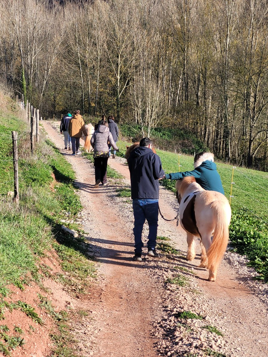 coParticiPA tweet media