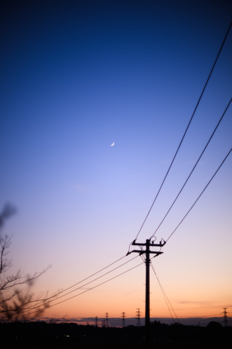 撮影したボディとレンズはZ8/Nikkor-S Auto 50mm F1.4

 #ニコンSNSギャラリー2026