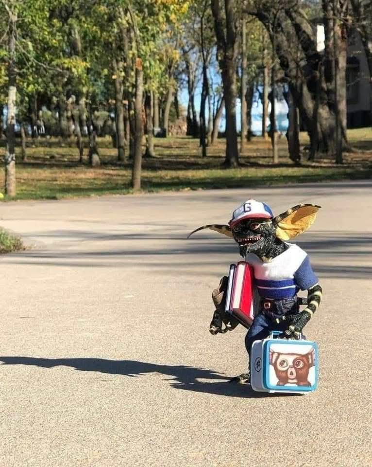 Los estados de las mamitas luchonas dejando a sus angelitos en su primer día de clase: