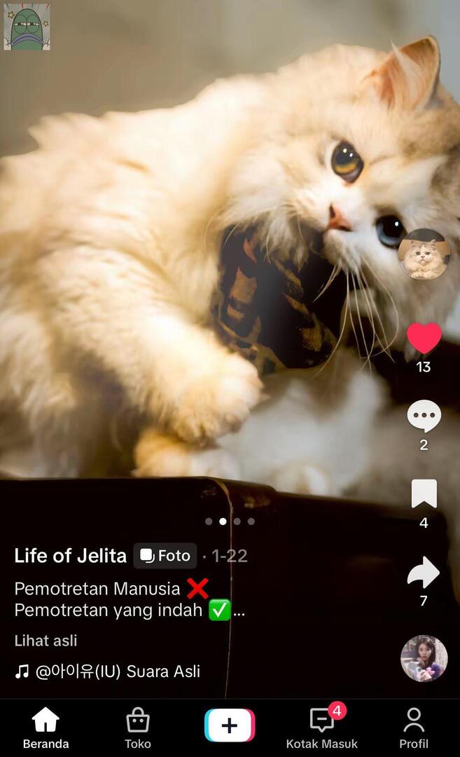 Tanyarlfes tweet media