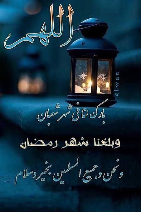 فوتغرافي📸 tweet media