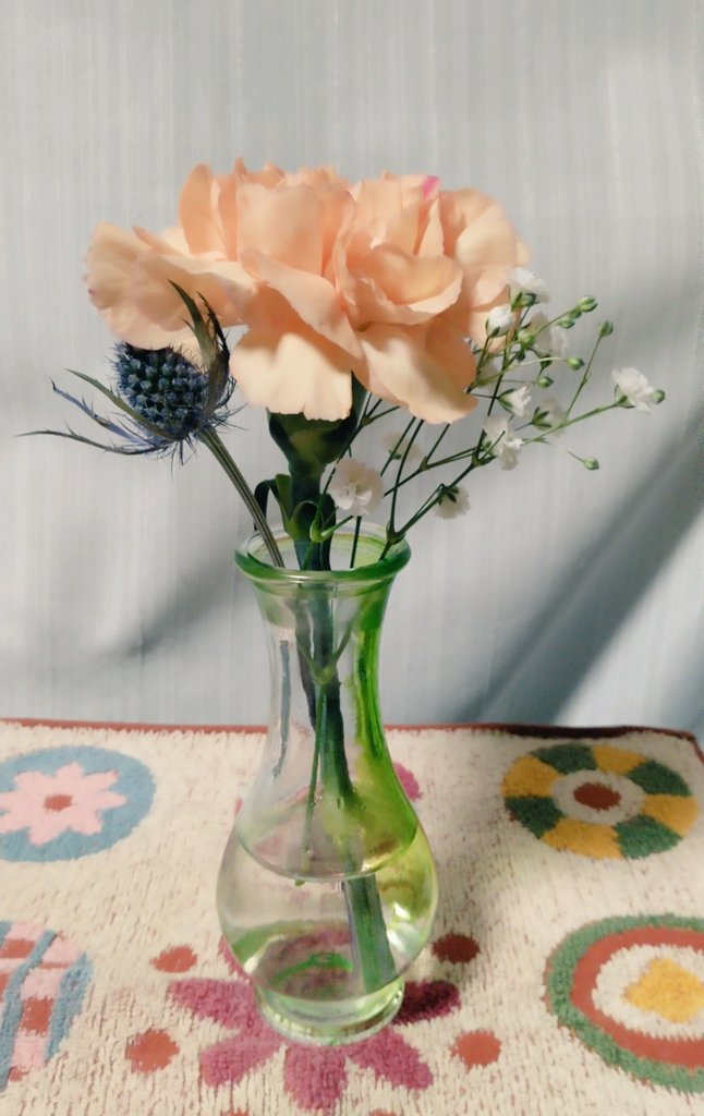 本日の切り花は、オレンジのカーネーションとマツカサアザミ、カスミソウです