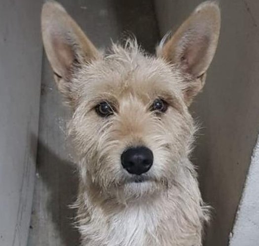 SL_intercounty's tweet image. おにぎりを味わう、豪華な！ 😏