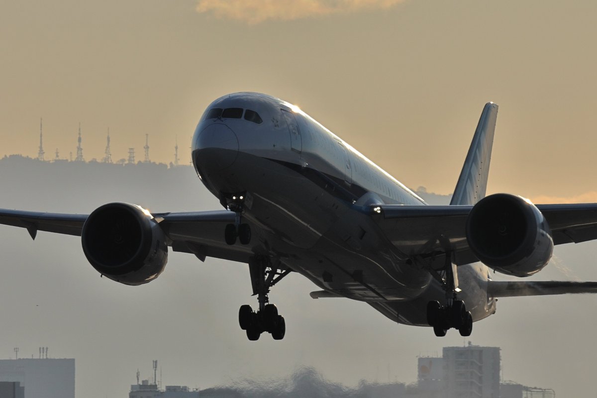 2026.1.1 伊丹空港 787-8 Dreamliner(JA817A) その者 金色(こんじき)の