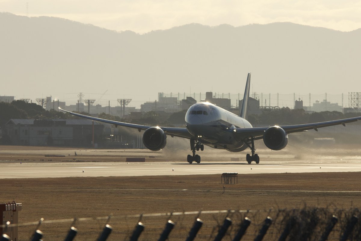 2026.1.1 伊丹空港 787-8 Dreamliner(JA817A) その者 金色(こんじき)の