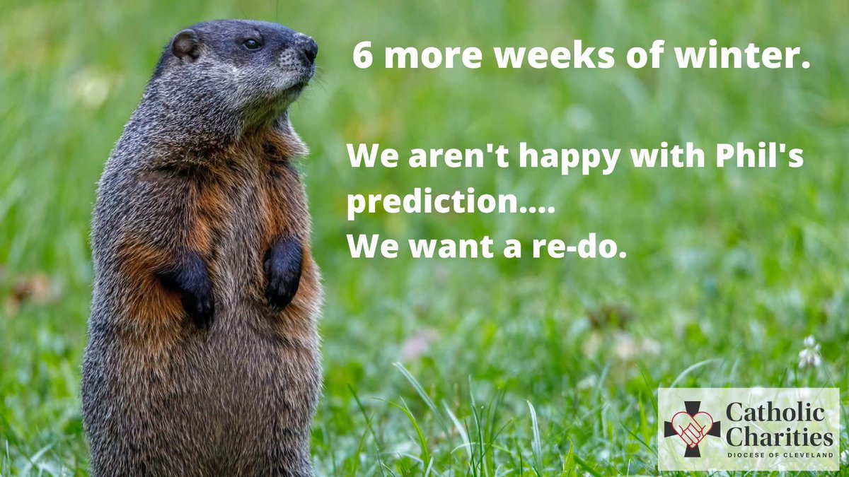CCLakeGeauga's tweet photo. 😑😑 #GroundhogDay2026 https://t.co/A4nH4ms8UJ