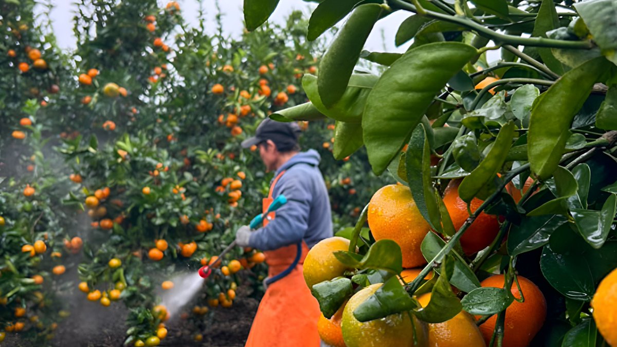 Mercy Corps Ventures tweet media