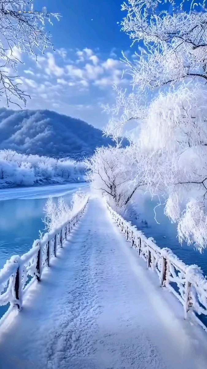 aestheticspost_'s tweet image. 