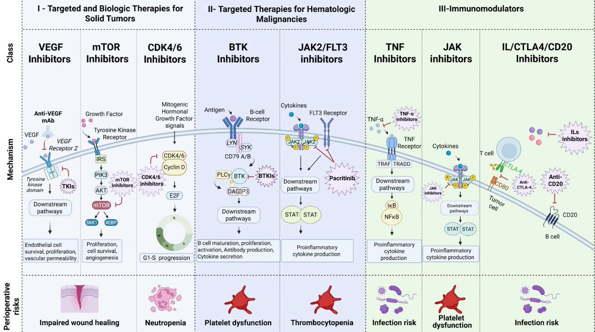 Maged ghoche tweet media
