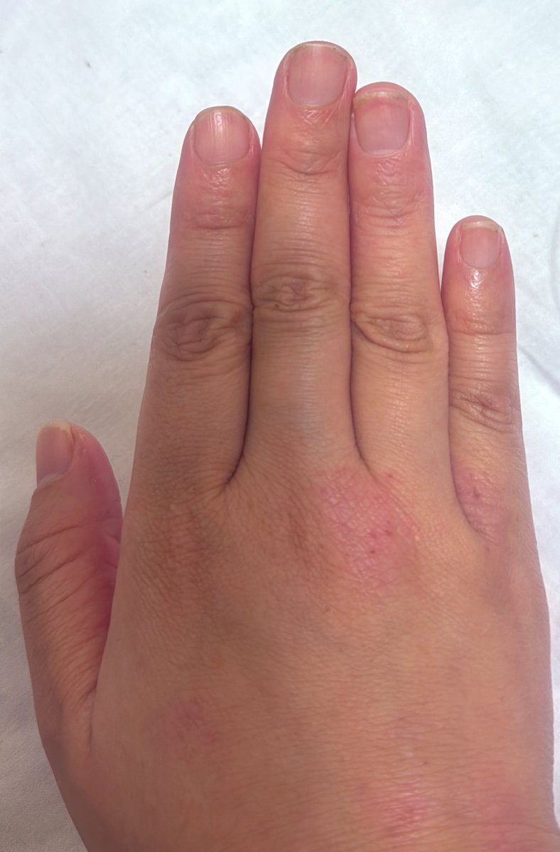 こなもん@凍結につき日常ギャンブル合同で再始動 tweet media