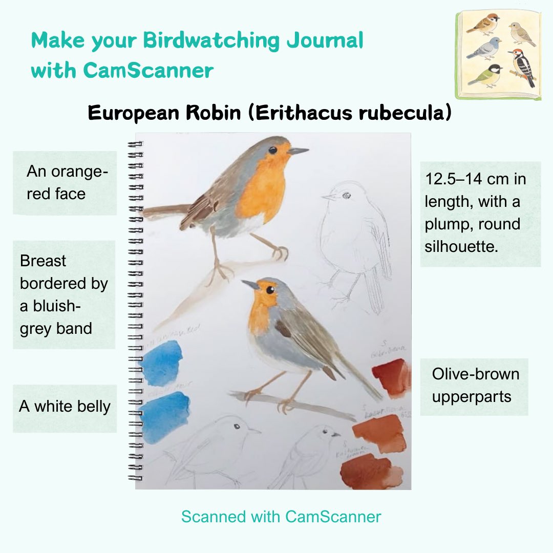 CamScanner's tweet image. Let’s celebrate the World Wetlands Day with CamScanner! Digitalize your Birdwatching Journals and carry them everywhere! #camscanner #scannerapp #saveimportantdocsincamscanner #worldwetlandsday #birdjournals