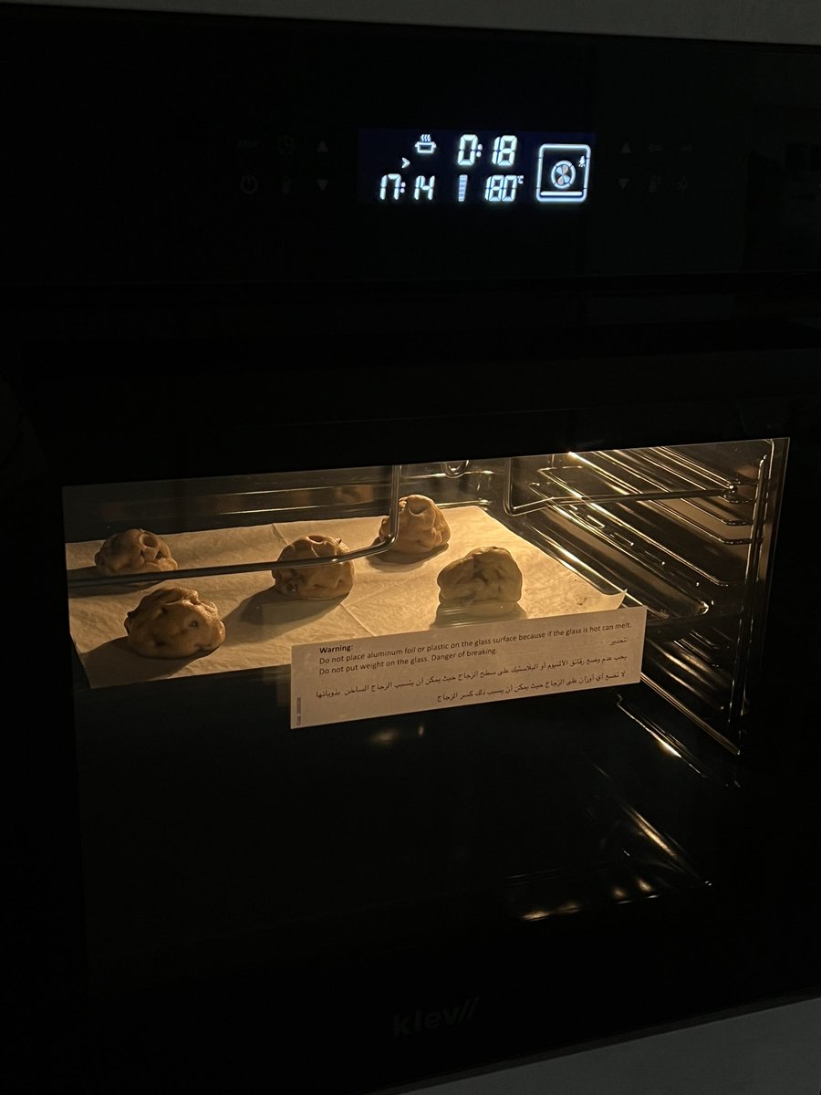 AliceTheshell's tweet image. 