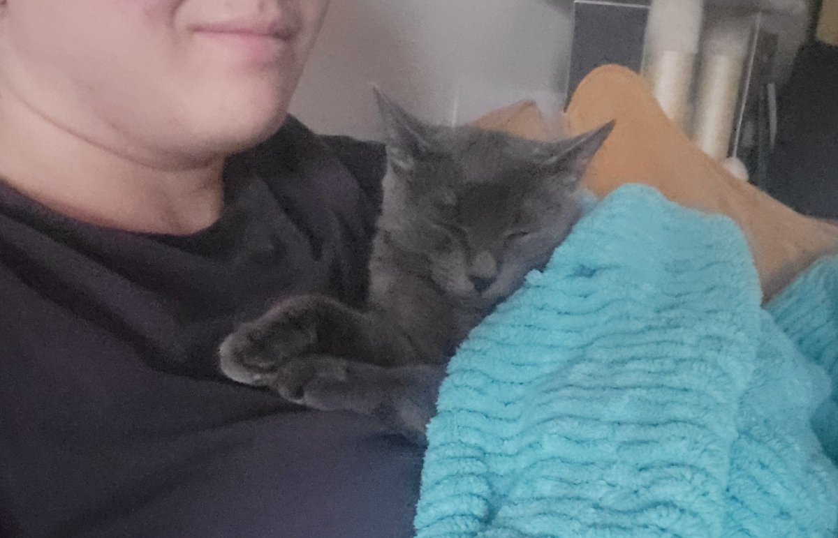 alex és rozi🧍‍♂️🐈‍⬛ tweet media