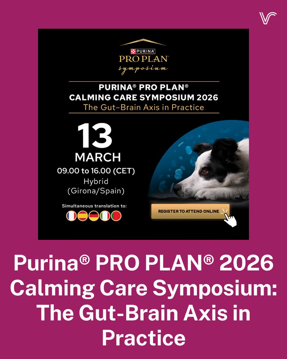 Vet Report tweet media