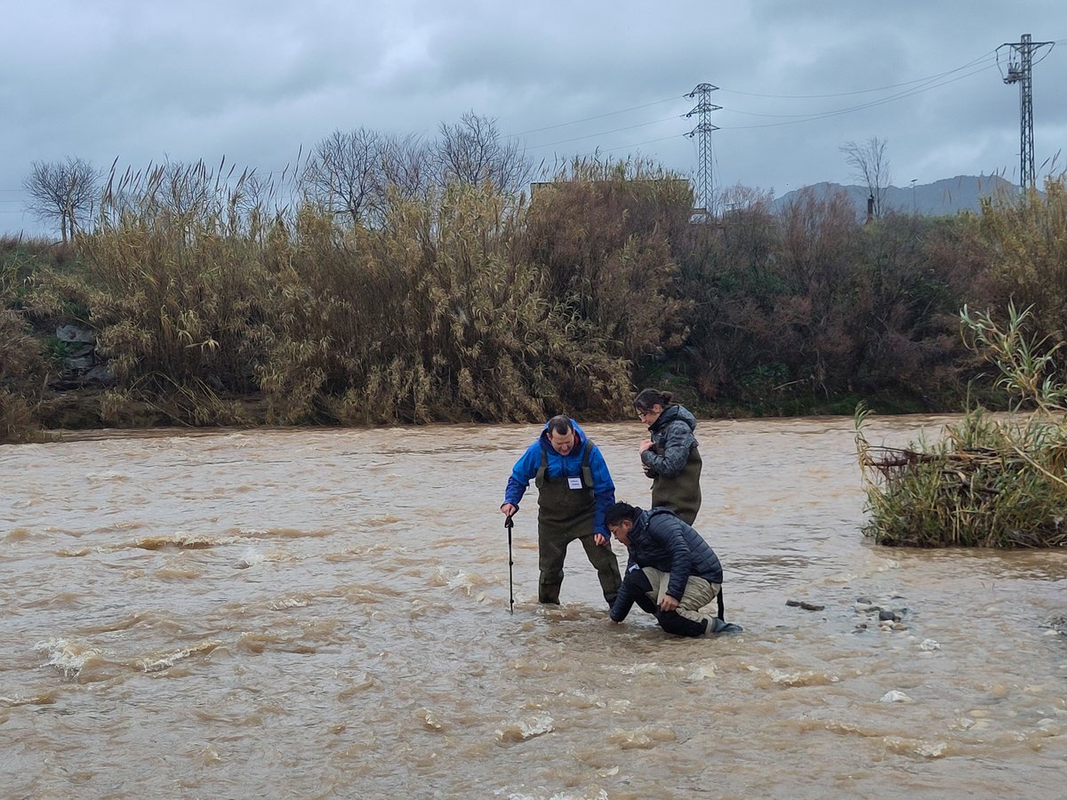 Institute for Advanced Chemistry of Catalonia tweet media