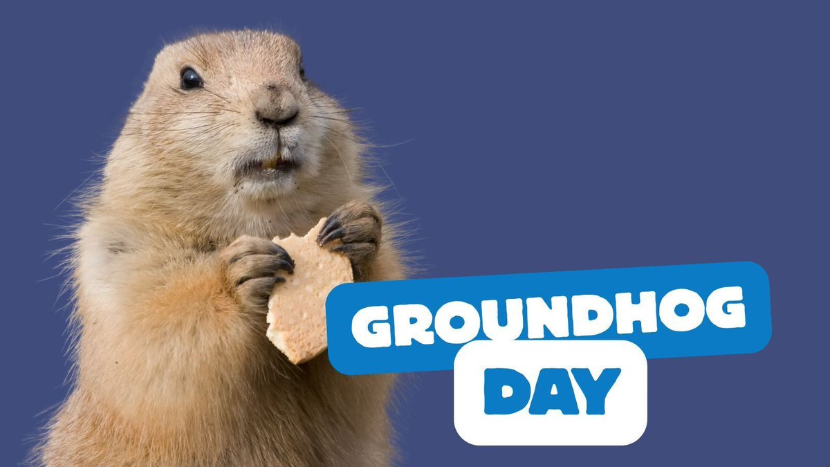 Salamander tweet media