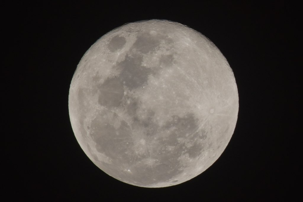 Titipol Phakdeewanich tweet media