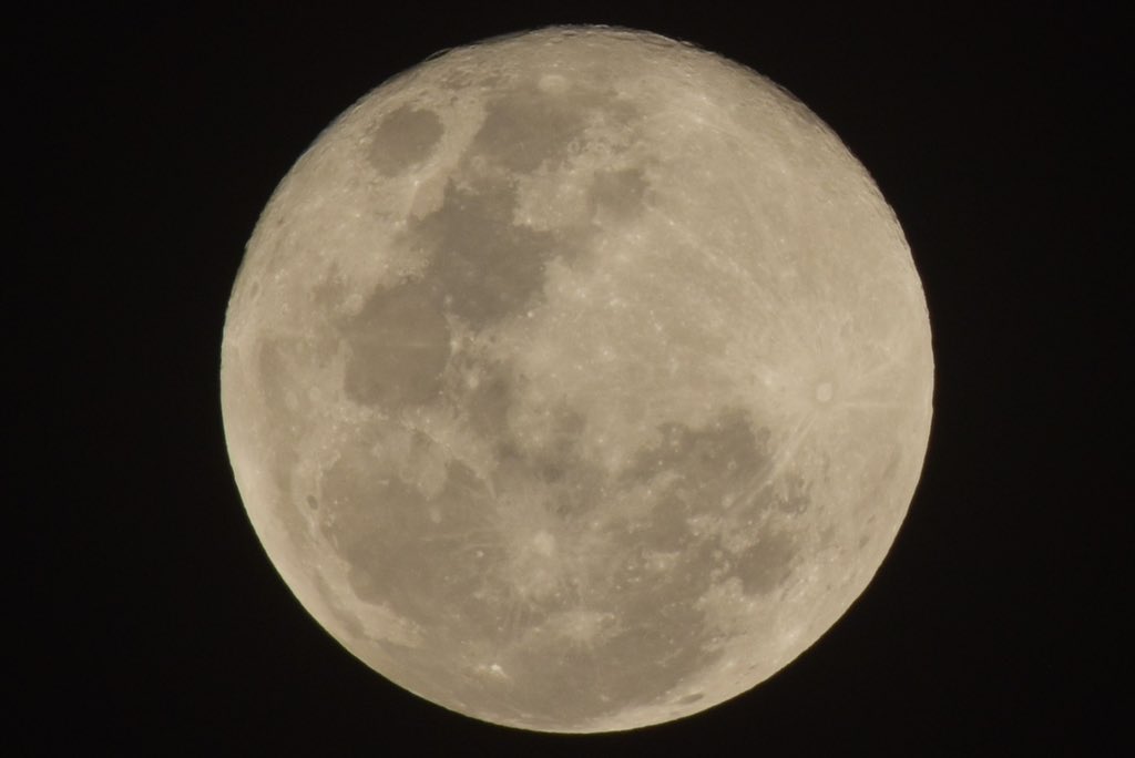 Titipol Phakdeewanich tweet media