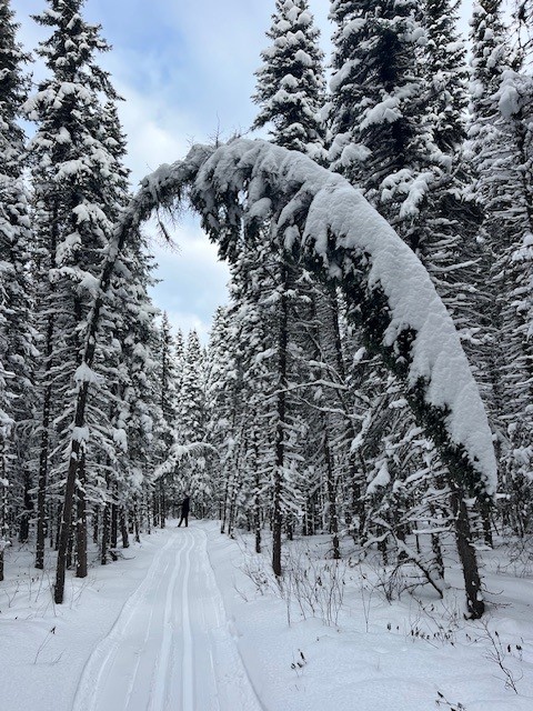 Sask Trails tweet media