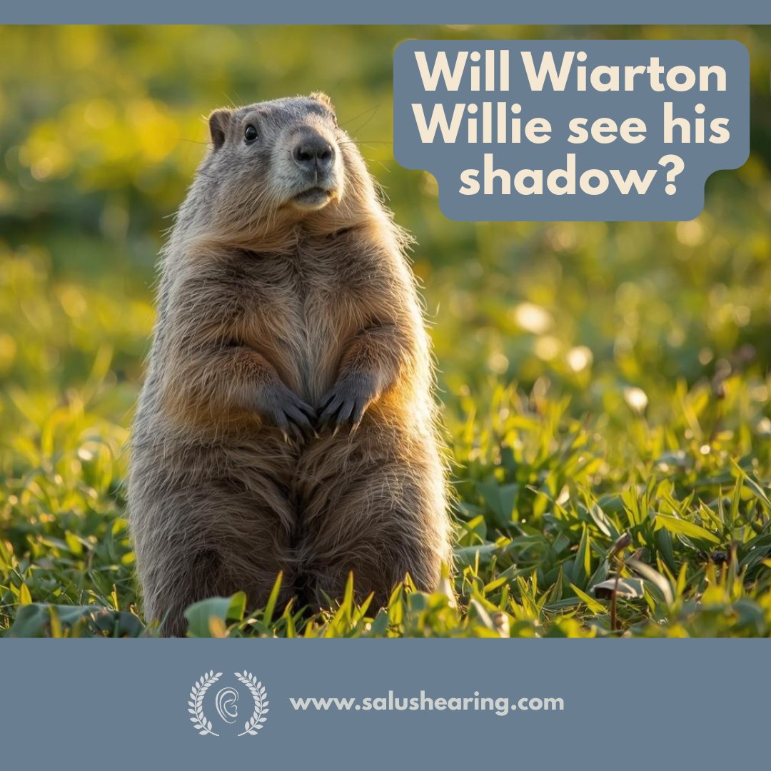 Happy Groundhog Day!
Whether Wiarton Willie hears his shadow or not, one thing’s for sure—hearing clearly matters in every season. 👂❄️🌸
If you’ve been missing sounds lately, don’t wait for spring. Book a hearing check today!
#SHTC #groundhogday
