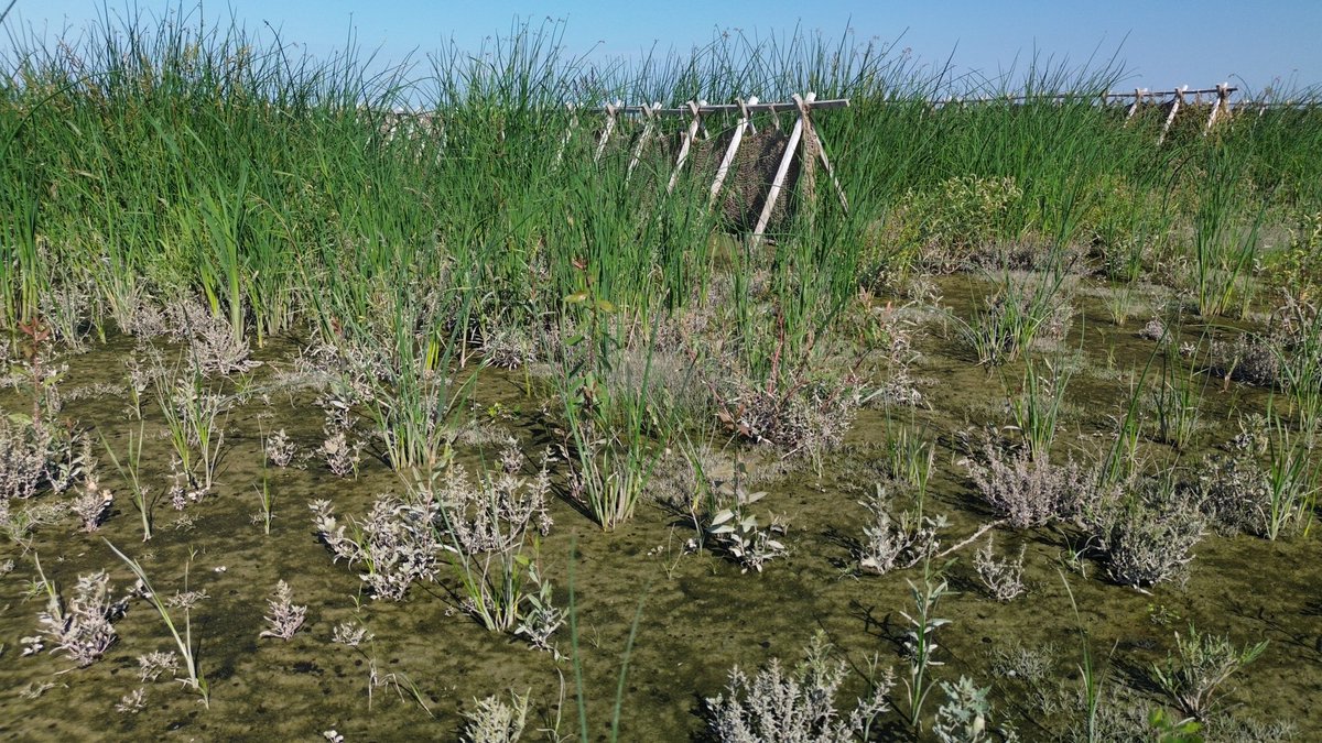 Red River Basin Commission tweet media