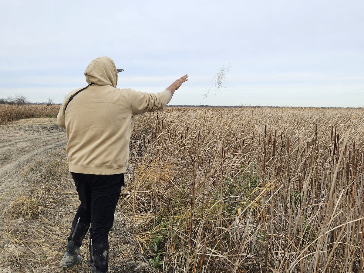 Red River Basin Commission tweet media