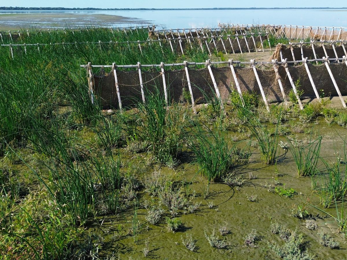 Red River Basin Commission tweet media