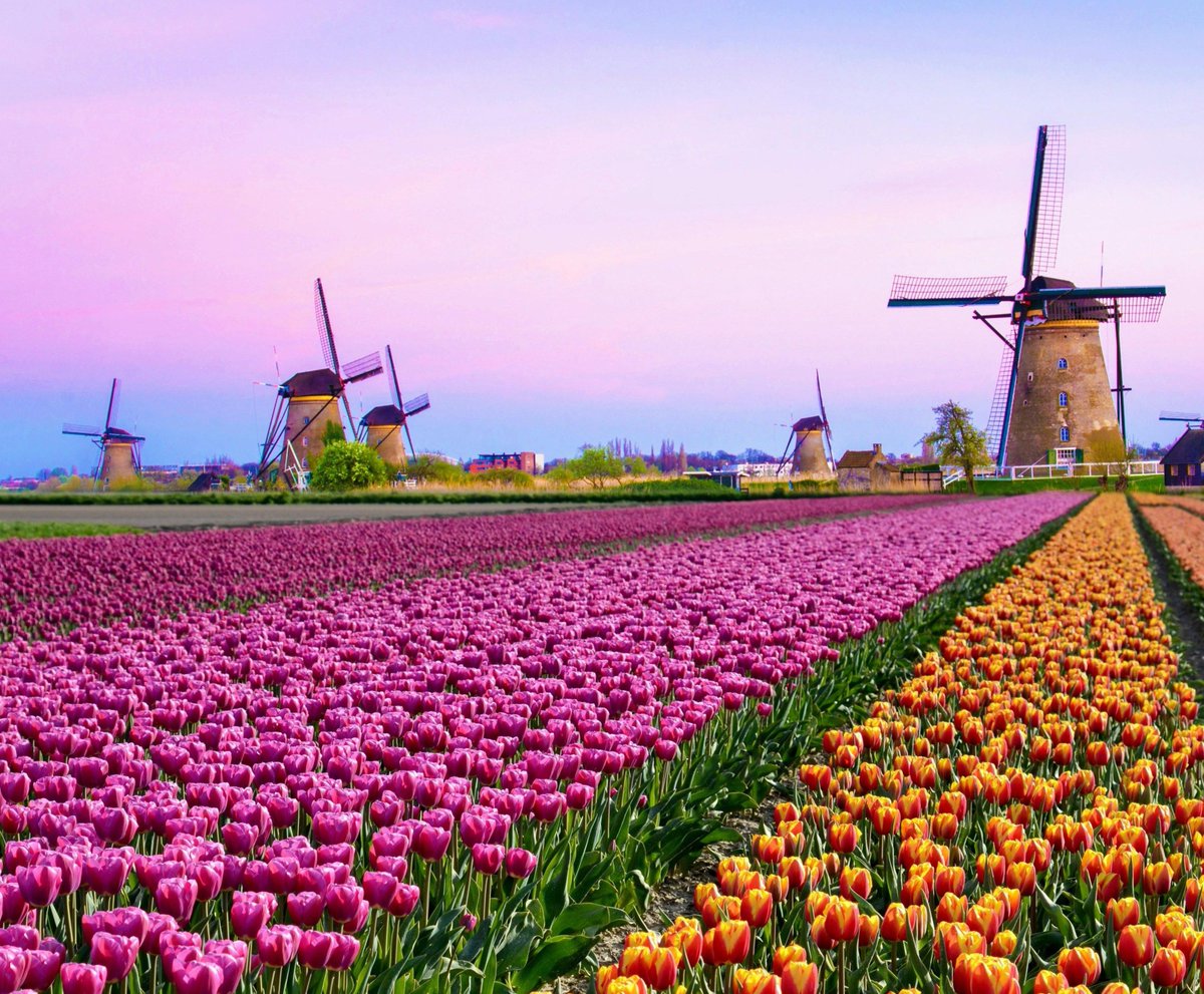 ciabaa's tweet image. プログラミングが期待 🥙