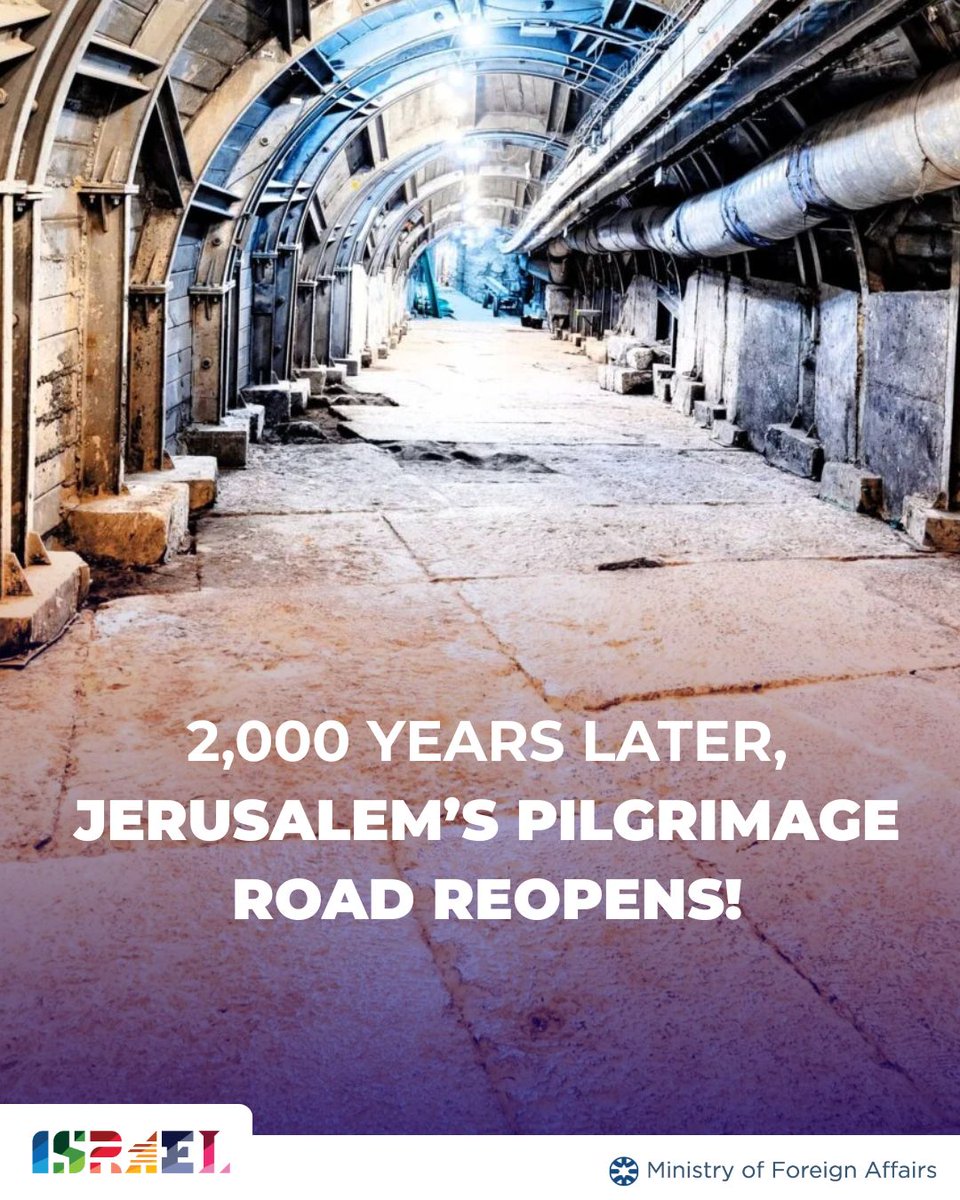 Israel ישראל tweet media