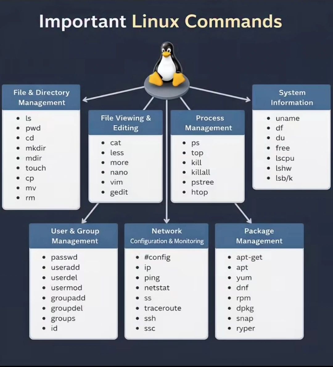 Essential Linux Commands Every IT Professional Should Know

Linux is the backbone of servers, DevOps, cybersecurity, and cloud infrastructure.

Whether you're a beginner or want to organize your knowledge, these core Linux commands are a must