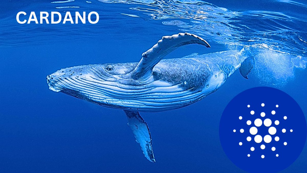 SatoshiBoomin Ⓥ tweet media