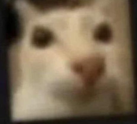 urther's tweet image. しょっぱいピザを食べる 👩‍👦