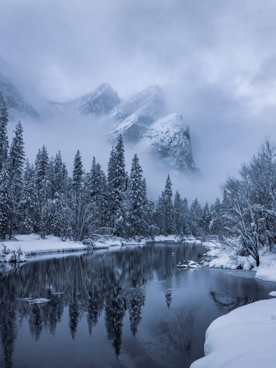 𝘄𝗮𝗻𝗱𝗲𝗿𝘁𝗿𝗮𝘃𝗲𝗹𝘀 tweet media