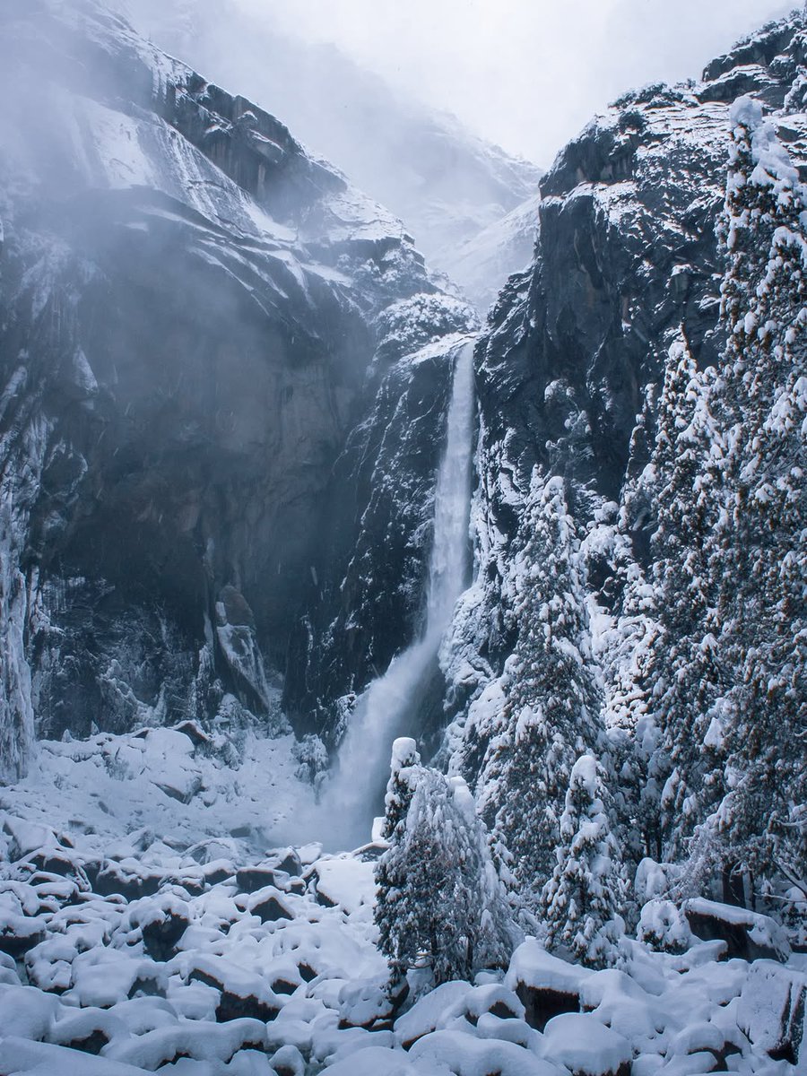 𝘄𝗮𝗻𝗱𝗲𝗿𝘁𝗿𝗮𝘃𝗲𝗹𝘀 tweet media