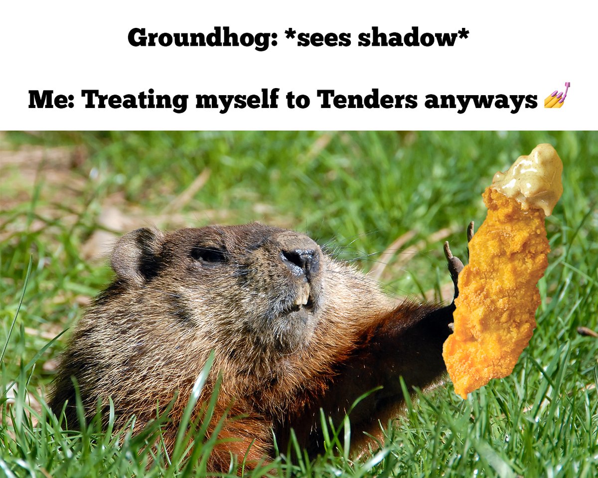 TullysGoodTimes's tweet photo. tbh im treating myself to Tenders regardless of what the groundhog sees π π
π
.
.
.
.
#groundhogday #tullystenders #chickentenders #alwaysfresh https://t.co/Oej9sMzKaP