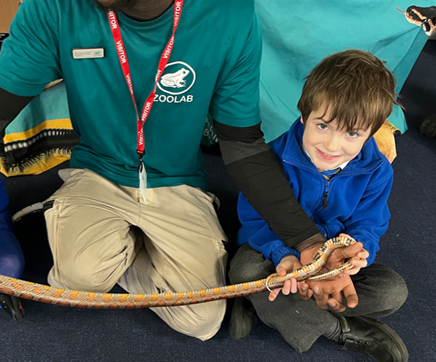 ZooLab visited Y1 last week and provided a fantastic experience for the children.  The children had a great time exploring a variety of animals, including corn snakes, frogs and tarantulas.  The session was engaging and informative, with the children learning interesting facts.