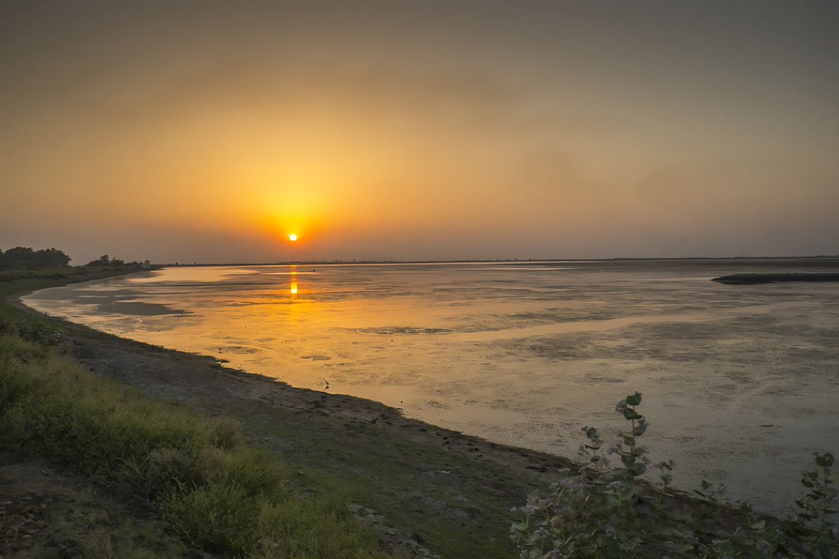 narottamsahoo's tweet image. Gujarat’s wetlands are living classrooms of nature - where #flamingos paint the skies, #mangroves guard our coasts, and #communities thrive with water #wisdom.

On #WorldWetlandsDay, we celebrate these #lifelines of #biodiversity, #climateresilience, and #culturalheritage.