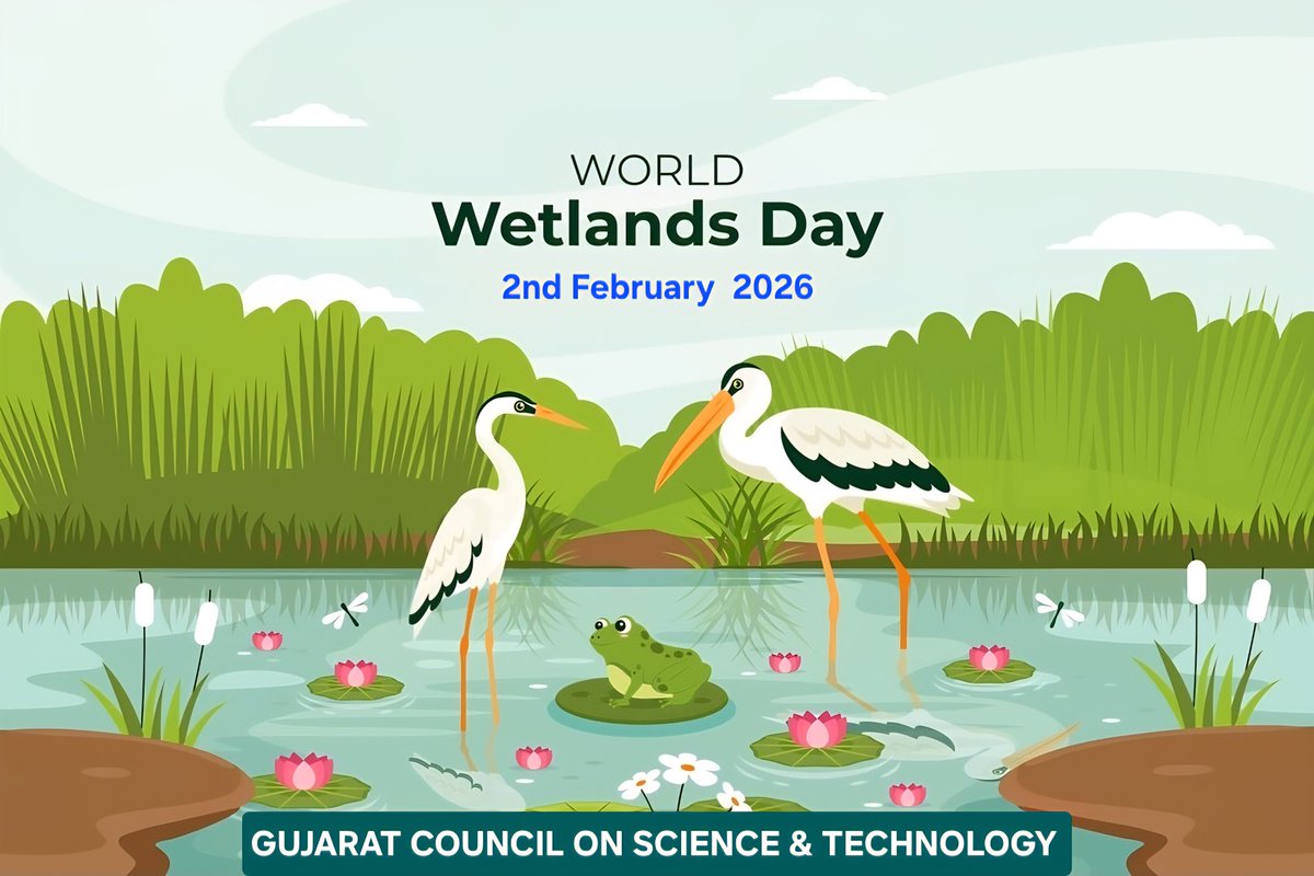 narottamsahoo's tweet image. Gujarat’s wetlands are living classrooms of nature - where #flamingos paint the skies, #mangroves guard our coasts, and #communities thrive with water #wisdom.

On #WorldWetlandsDay, we celebrate these #lifelines of #biodiversity, #climateresilience, and #culturalheritage.