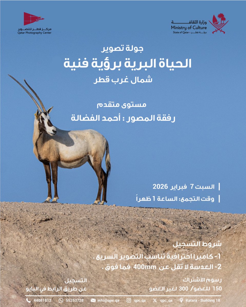 مركز قطر للتصوير tweet media