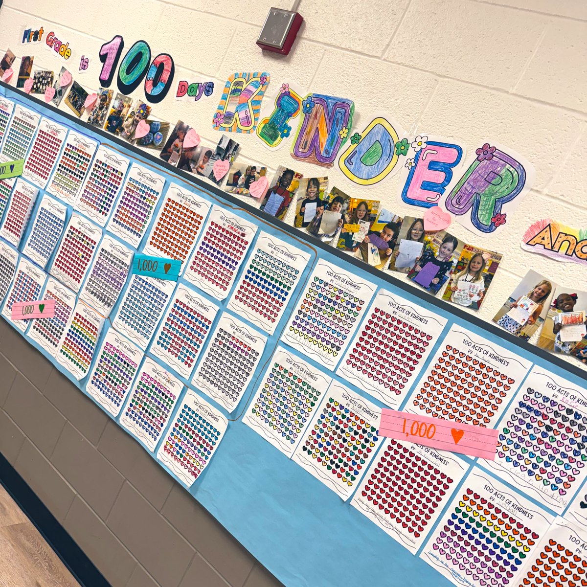 Megan Williams Martin tweet media