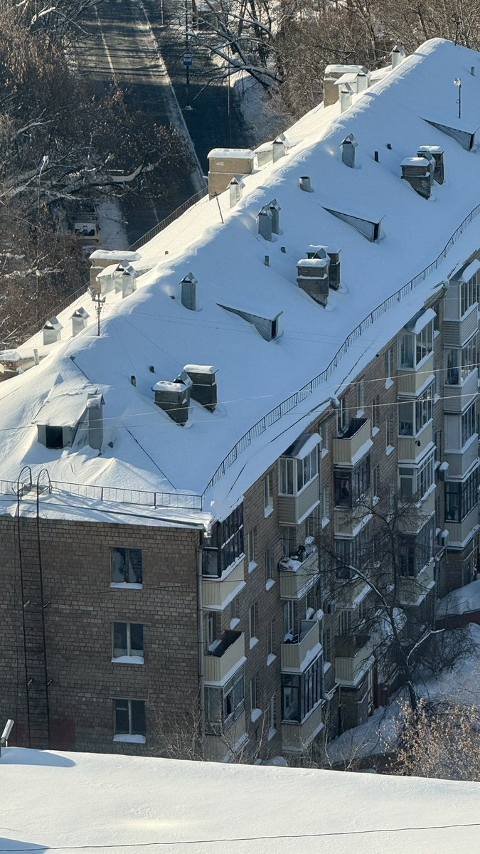 Tata Bach tweet media