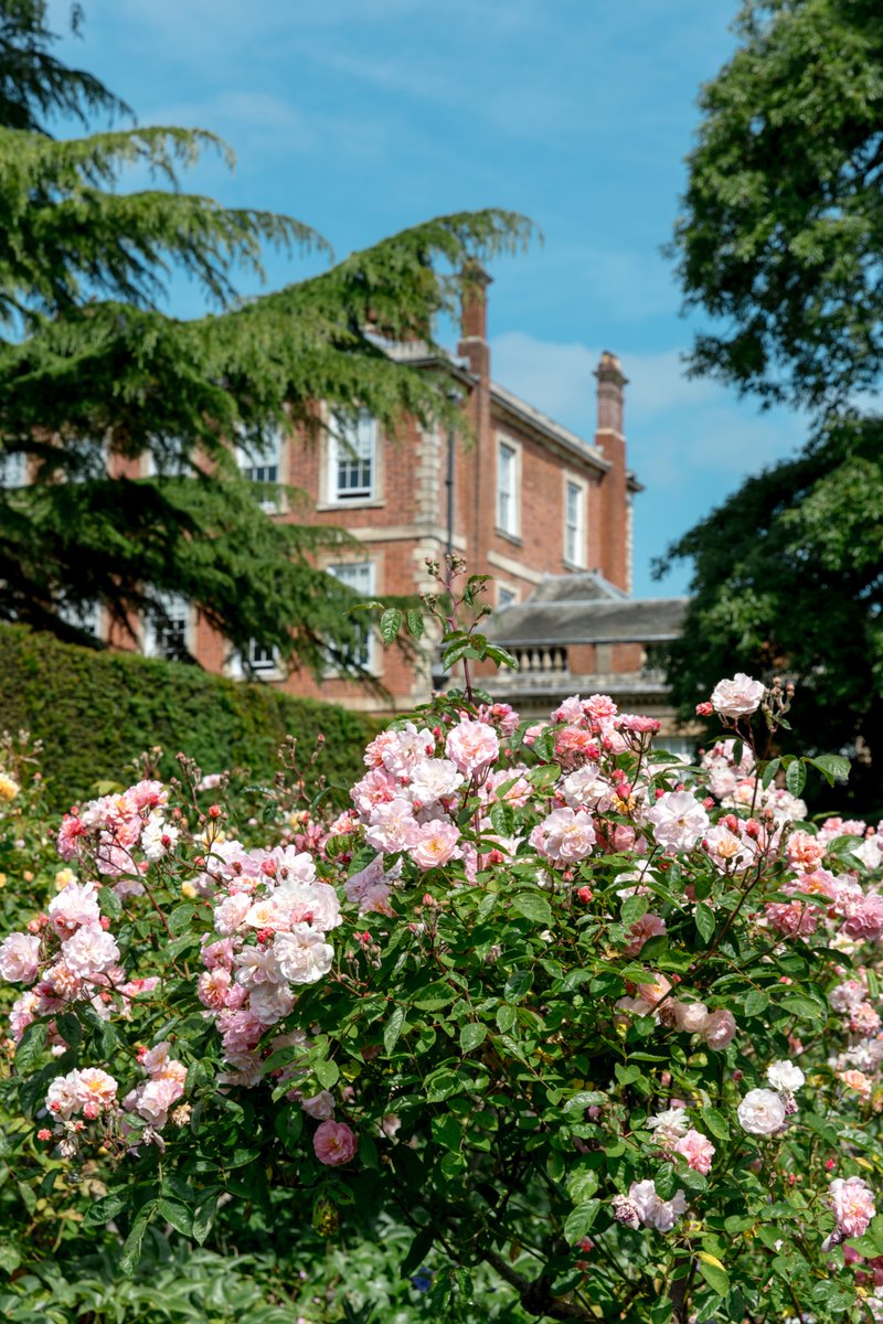 Middlethorpe Hall NT tweet media