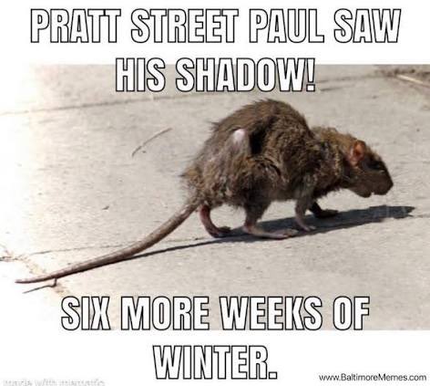 Baltimore Memes tweet media