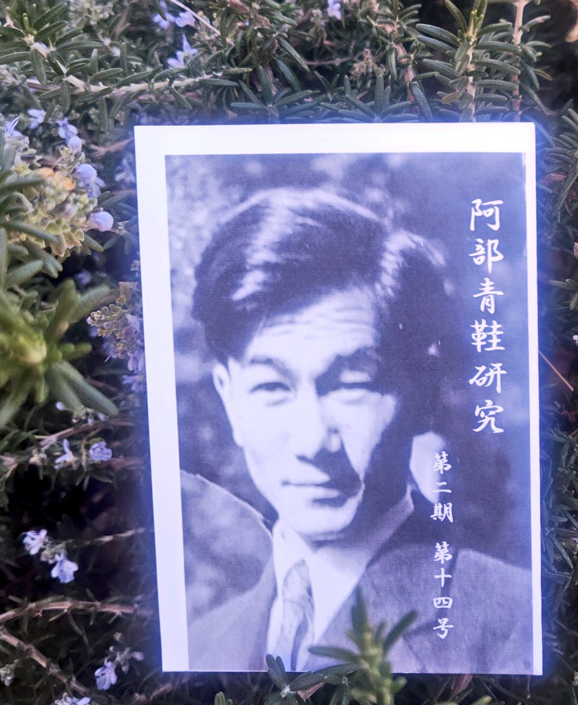 「阿部青鞋研究」第二期 第十四号
ネットプリント開始しました。
デイリーマート
[ 0481-7256 ]　2月9日まで
【執筆】藤色葉菜、中川專子（青鞋次女）、妹尾健太郎 ⬛️既刊句集に未収録の青鞋作品を大量に見つけましたので、その中から二十句を抄出。どうぞお楽しみ下さい。#abeseiaikenkyukai