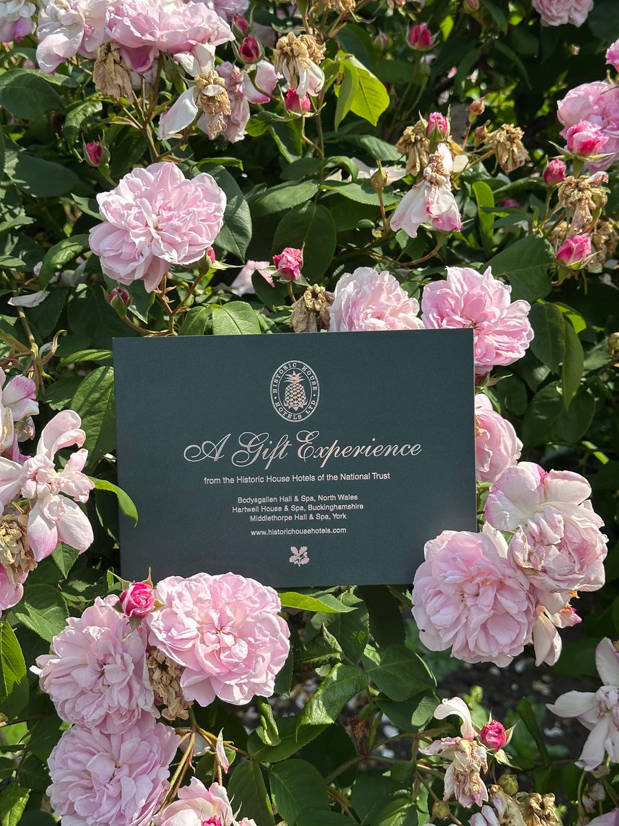 Middlethorpe Hall NT tweet media