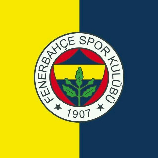 Fenerweb122's tweet image. Bir transfer yapmaya kalktık, tüm Arabistan’da transfer durdu. Ronaldo fenere düşman oldu, atalanta şerefsizlik yaptı. Herkes Fener'e düşman amk yerinde ya nasıl bi kulüpsün