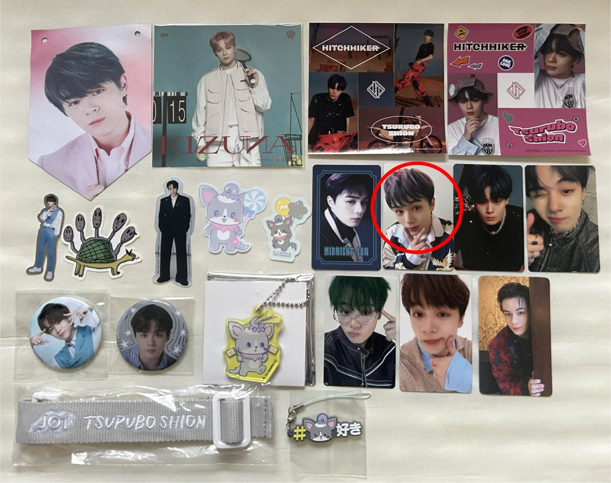 らいおん tweet media