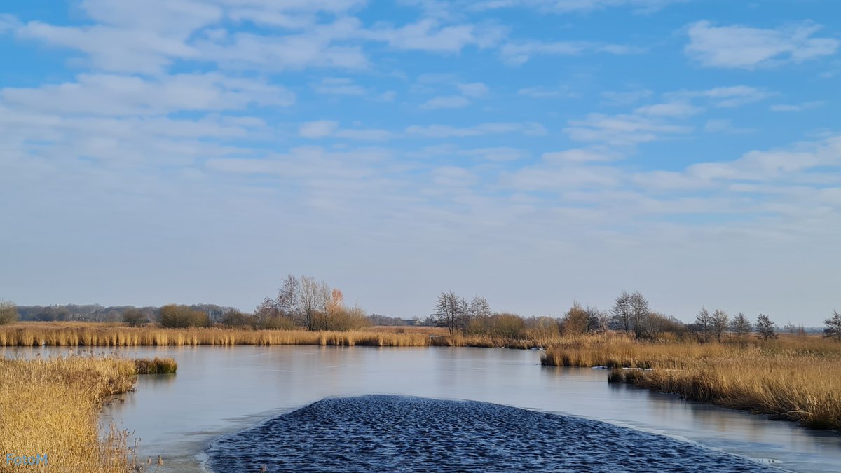 Margreeth0_0's tweet image. Het stukje open water in De Onlanden verraadt de snijdende oostenwind die er staat. Gelukkig had ik 'm grotendeels in de rug naar huis! Heerlijk fietsweer ☀️@StormHour @BuienRadarNL @WilliamHuizinga @whoebert @onwukaa #winterseason #NaturePhotography #NatureBeauty